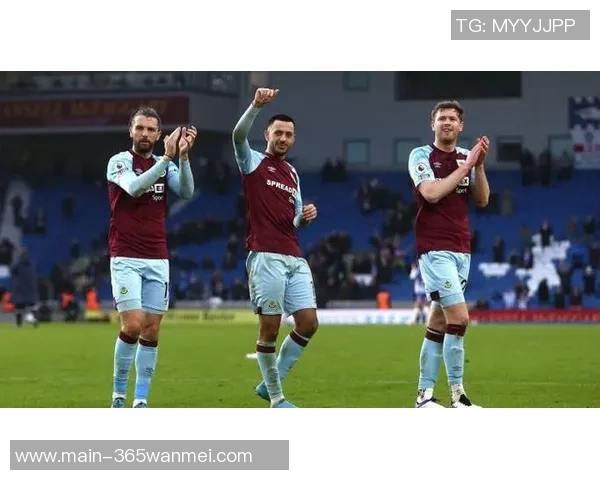 欧19足球赛精彩回顾与未来展望球迷热情与赛事影响力的深度分析